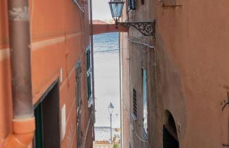 La Fernandina - Foto 6