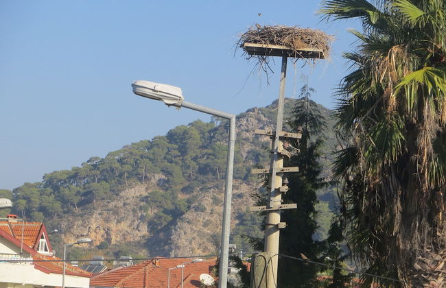 Villasevval-sleeps8-pool-bbq-ac-neartown - Photo 34