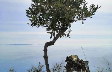 ZEN Minimal Luxury Housing Tyros - Foto 44