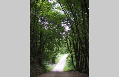 ČAROBNA ŠUMA ***(magic forest) - Foto 19