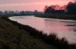 Kniepwiekerhof - Foto 16