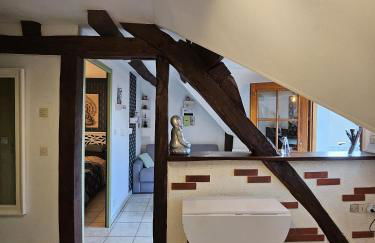 Le nid de l'écureuil - Foto 7