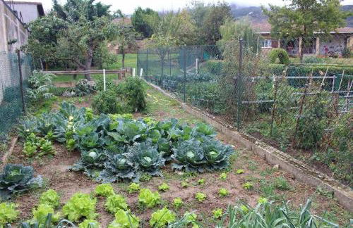 SagastiEnea Villa con Piscina y Tenis en la Rioja - Photo 23