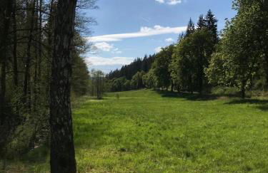 Apartments Saaldorf-Ferienhaus mit 6 Apartments 45qm-120qm direkt am Thüringer Meer-Bleilochtalsperre - Foto 23