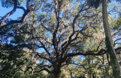 Flagler Beach Ocean Front Villa w/ Lg. In ground Pool-5-6Br/4Bth& attached apt - Photo 57