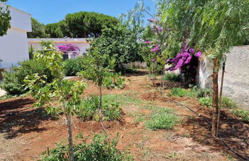 Villa Carmela a San Pietro in Bevagna (TA) - Foto 34