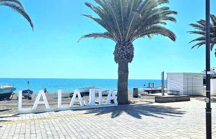 Albacora Apartment - Photo 18