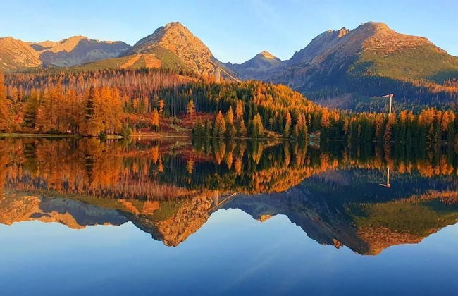 Hotel Crocus - Foto 53