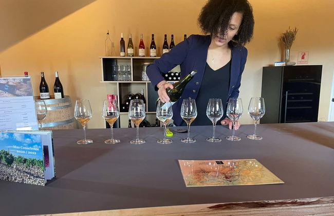 Excursão aos Terrasses du Larzac - Foto 3