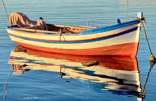 Carruzzata 2 - Foto 3