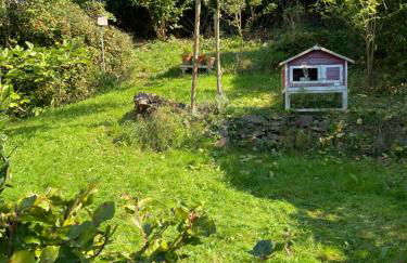 Ferienwohnung Kräutergarten - Foto 16