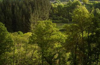 Apartamentos El Sualleiro - Foto 44