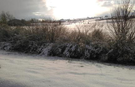 Ferienwohnung Vogel - Foto 29