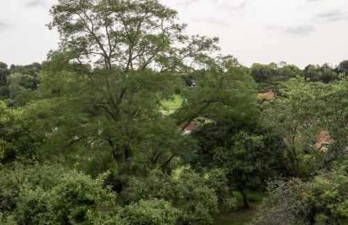 Hapton Folly - Foto 18