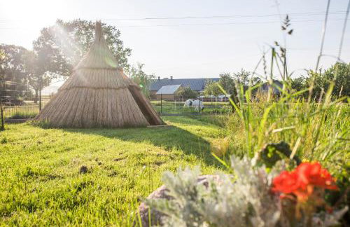 Harasimówka - Photo 28