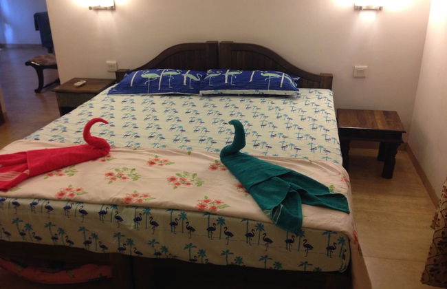 Riviera Foothills - Photo 4