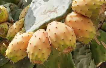 Appartamento del conte - Foto 8