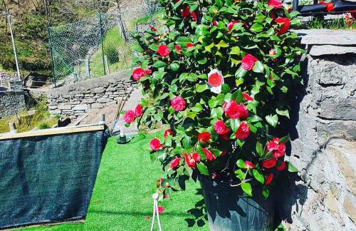 Coccinella House - Foto 35