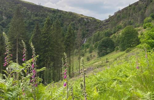 Bronfelin & Troed-y-rhiw Holiday Cottages - Foto 76