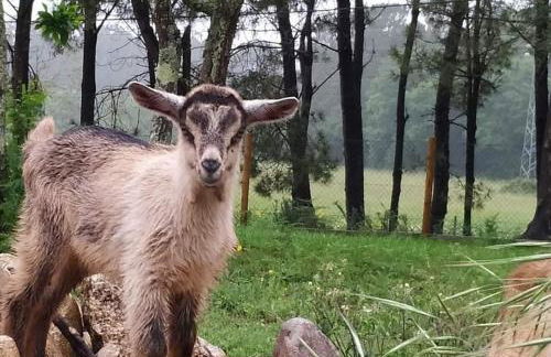 QUINTA DO VALE - Foto 6