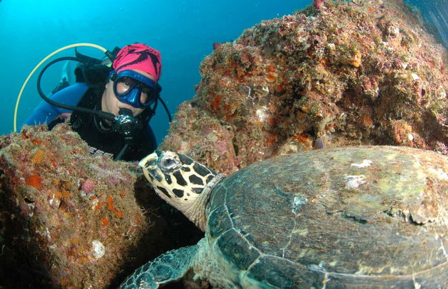 Acapulco Scuba Diving Introduction - Foto 3