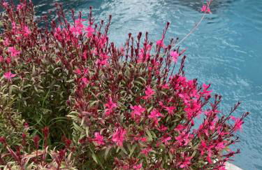 Villa bellevue, neuve, 6 pax, pisc. chauffée - Foto 36