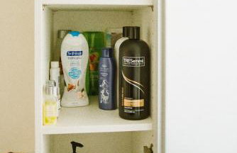 Peaceful Oasis on Munjoy Hill 1st flr 3BR parking - Foto 22