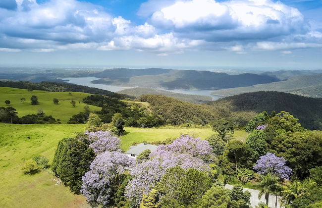 Rosewood Estate - Foto 34