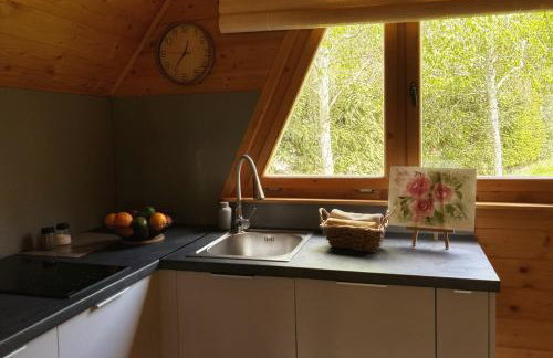 Domki u Oli - strefa relaksu z balią - Foto 11