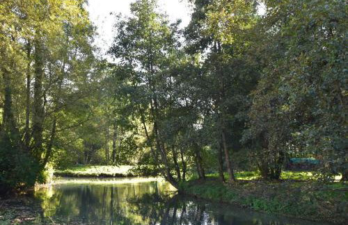 Cottage near the Mill Pond with a beautiful garden - Foto 19