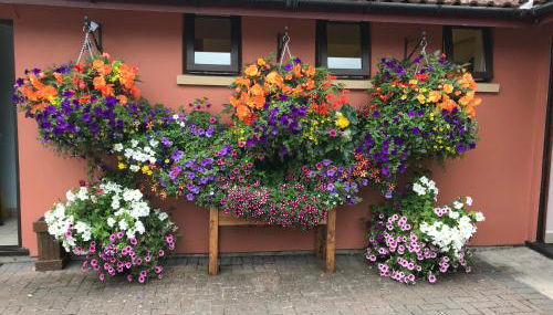 The Court Yard Apartment - Foto 3