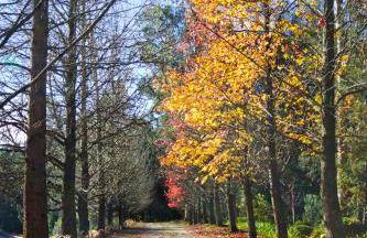 Quinta de Mourães Casa dos Rododendros - Foto 73