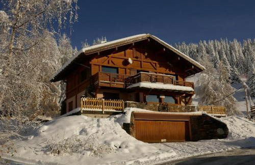 Les Saisies côté Bisanne appartement dans chalet LE Népal - Foto 11