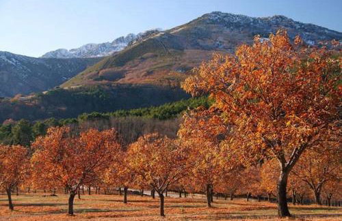 El Patio de los Naranjos - Photo 33