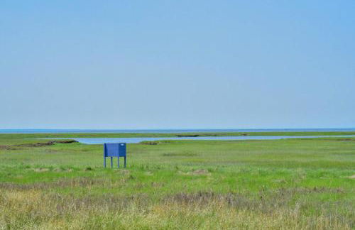 5 Min to Beach Yard w Fire Pit - Foto 36