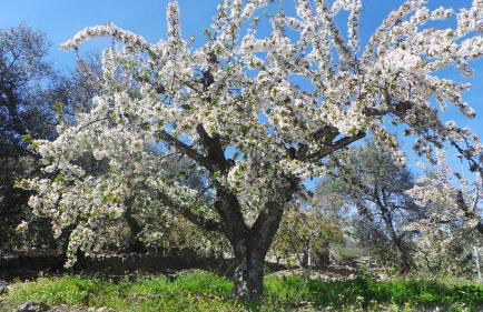 Apartamentos El Capricho - Foto 26