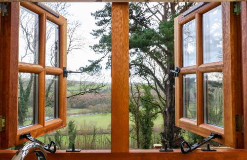 Little Silver Fox - Foto 13