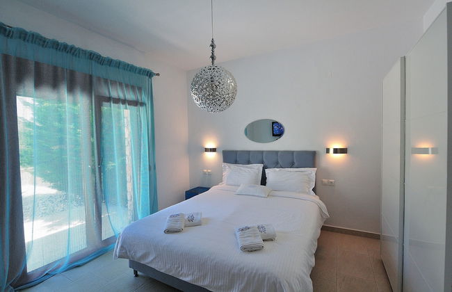 Golden King - Foto 6