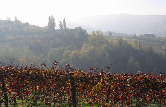 Agriturismo Il Gioco dell'Oca - Foto 53