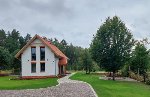 Beztroskie Barwiny nad jeziorem Wulpińskim na Warmii - Foto 1