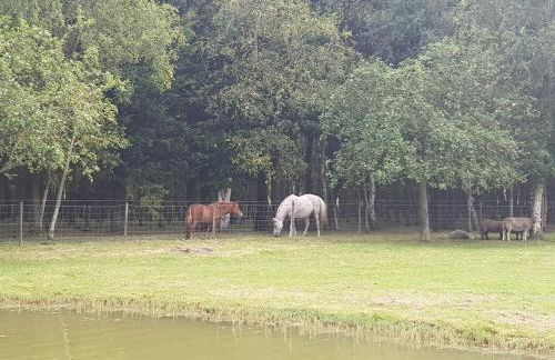 les portes des Froises - Foto 3