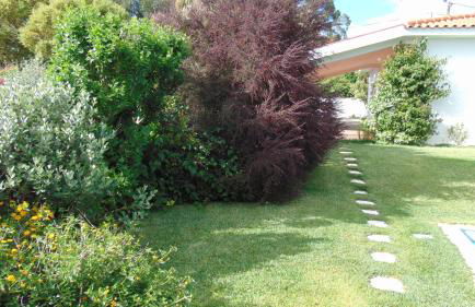 Casa Landim - Foto 21