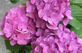 Casa Lares - Foto 60