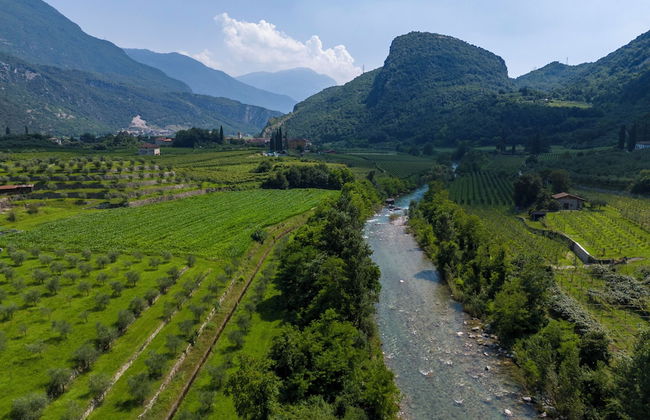 La diMosa - Photo 35