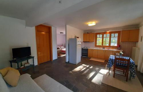 Σπίτι σε ελαιώνα, house in an olive grove - Foto 4