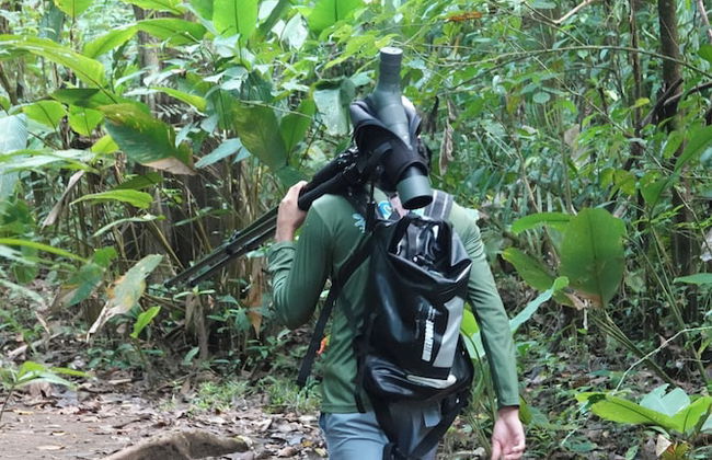 Maze Lodge - Photo 45