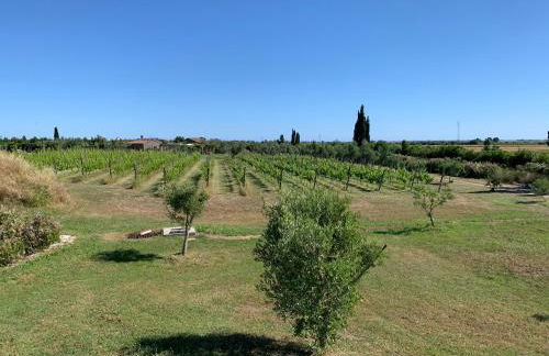 Resort Fonte Vulci - Foto 113