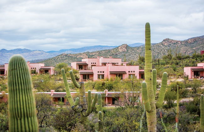 Tanque Verde Ranch - Photo 11