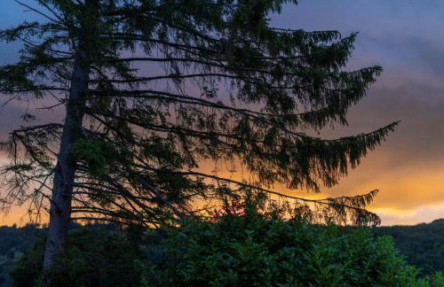 Amberwood Lodge - Photo 14