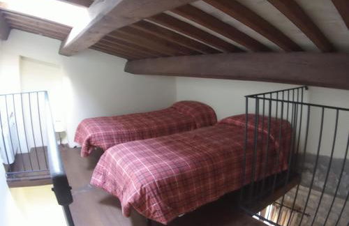 Agriturismo Terre di Musignano - Foto 72